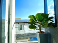 Bán nhà 3 căn liền kề trục chính hẻm 77 Phạm Ngũ Lão mới 100% Bán nhà 3 căn liền kề trục chính hẻm 77 Phạm Ngũ Lão mới 100%