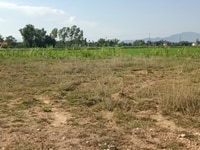 Bán gấp 20 lô đất Khu Huỳnh Kim, Cách Quốc Lộ 19 50m Bán gấp 20 lô đất Khu Huỳnh Kim, Cách Quốc Lộ 19 50m