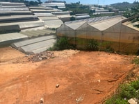 Bán Đất hẻm 75 Hùng Vương - Đà Lạt view cực đẹp giá 2.3 tỷ Bán Đất hẻm 75 Hùng Vương - Đà Lạt view cực đẹp giá 2.3 tỷ