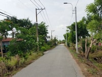 Bán gấp 1000 m2 đất (22x 44 m) đường Bùi Văn Sự, 2 tr/m2 Bán gấp 1000 m2 đất (22x 44 m) đường Bùi Văn Sự, 2 tr/m2