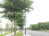 Cần bán đất dự án Hạp Lĩnh khu 9 ha, Tp Bắc Ninh Cần bán đất dự án Hạp Lĩnh khu 9 ha, Tp Bắc Ninh