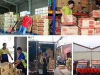 LONG THÀNH ==> Tuyển Nhân Sự Nam LĐPT Lơ Xe + Phụ Kho Bao Ăn Ở LONG THÀNH ==> Tuyển Nhân Sự Nam LĐPT Lơ Xe + Phụ Kho Bao Ăn Ở