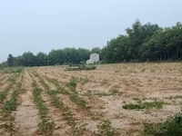 Đất nền rẻ nhất tại Bình Dương Đất nền rẻ nhất tại Bình Dương