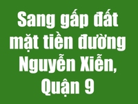 Sang gấp đất mặt tiền đường Nguyễn Xiễn, Quận 9 diện tích 6300m2