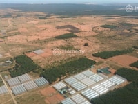 Lô Đất 349 Triệu - 5000m2 Đất Farmstay Bình Tuận . Sổ Đỏ Công Chứng Lô Đất 349 Triệu - 5000m2 Đất Farmstay Bình Tuận . Sổ Đỏ Công Chứng