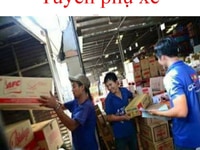 Tuyển 50 Lái Xe + 150 Lơ Xe + 150 Phụ Kho Bốc Xếp Tuyển 50 Lái Xe + 150 Lơ Xe + 150 Phụ Kho Bốc Xếp