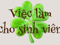 Chuổi hệ thống cà phê sạch cần nv làm việc Chuổi hệ thống cà phê sạch cần nv làm việc