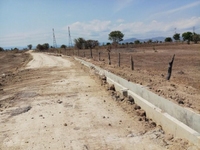10000m2 đất Lương Sơn Bình Thuận chỉ có 630 triệu, có sổ Hồng 10000m2 đất Lương Sơn Bình Thuận chỉ có 630 triệu, có sổ Hồng