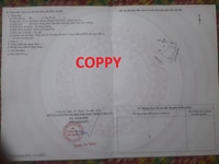 Mặt tiền quốc lộ 50, ngay ngã ba, Đất 100% thổ cư Mặt tiền quốc lộ 50, ngay ngã ba, Đất 100% thổ cư