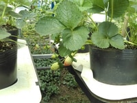 Dịch vụ du lịch ngắn ngày cho cắc cặp đôi hoặc gia đình 4 người Dịch vụ du lịch ngắn ngày cho cắc cặp đôi hoặc gia đình 4 người
