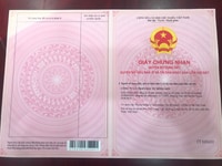 Bán Đất Suất Ngoại Giao Khu Đô Thị Mới Trang Hạ Từ Sơn Bán Đất Suất Ngoại Giao Khu Đô Thị Mới Trang Hạ Từ Sơn