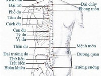 DV MASSAGE - Bấm Huyệt TRỊ LIỆUTại Hotel, nhà, trong TPHCM(Từ 7h -23h)