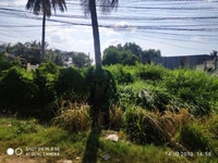 Ngân hàng Thanh lý Tài sản đất trồng cà phê tại Cư M'gar, Daklak. Ngân hàng Thanh lý Tài sản đất trồng cà phê tại Cư M'gar, Daklak.