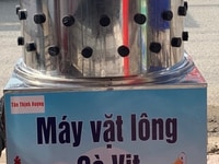 Máy vặt lông gà lông vịt giá rẻ Máy vặt lông gà lông vịt giá rẻ