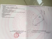 Bán 42 ha đất trồng cây lâu năm(CLN) Bán 42 ha đất trồng cây lâu năm(CLN)
