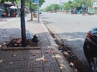 120 m2 Đất thổ cư MT Trường Chinh, SHR, 850 triệu 120 m2 Đất thổ cư MT Trường Chinh, SHR, 850 triệu