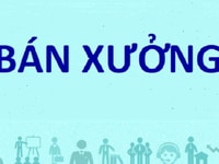 Bán xưởng DT 49x52m2 tại KCN Long Hậu, khu công nghiệp tiêu chuẩn cao