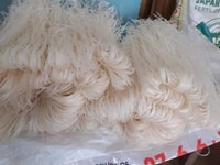Cần tìm nhà phân phối, sỉ lẻ bún phở khô Cần tìm nhà phân phối, sỉ lẻ bún phở khô