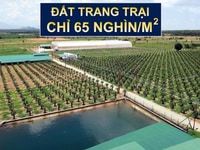 Đón đầu cao tốc Phan Thiết - sân bay Phan Thiết, chỉ 60 ngàn/m2,