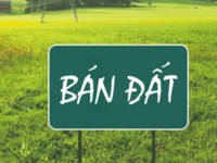 Bán đất phân lô, đ/c Đồi Nông lâm, xã Phú Cát, huyện Quốc Oai