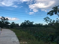 Bán đất khu dân cư Điện Tiến - view Hồ Sen Bán đất khu dân cư Điện Tiến - view Hồ Sen