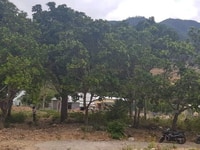 Bán 1650m đất Hòn Xện vĩnh hòa Nha Trang Bán 1650m đất Hòn Xện vĩnh hòa Nha Trang