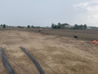 Lô đất góc 2 mặt tiền giá đẹp Cần Đước - Long An Lô đất góc 2 mặt tiền giá đẹp Cần Đước - Long An
