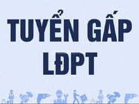 Tuyển lao động phổ thông phụ Kho - phụ xe và tài xế xe tải Tuyển lao động phổ thông phụ Kho - phụ xe và tài xế xe tải