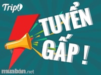 Cần tuyển gấp 3 nhân viên bán hàng Cần tuyển gấp 3 nhân viên bán hàng