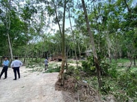 Cần bán đất nền Định An- Dầu Tiếng giá rẻ Cần bán đất nền Định An- Dầu Tiếng giá rẻ