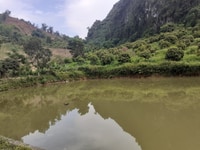 Bán đất trang trại cực đẹp tại Kim Bôi, Hòa Bình có diện tích 5.1ha Bán đất trang trại cực đẹp tại Kim Bôi, Hòa Bình có diện tích 5.1ha