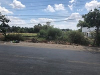 Cần bán 2700m2 đất thổ cư mặt tiền 835B Cần bán 2700m2 đất thổ cư mặt tiền 835B