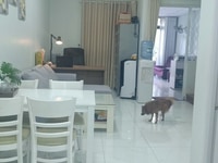 HOT HOT HOT hàng mới ra lò nhà phố vườn cưc đẹp nằm vị trí trung tâm HOT HOT HOT hàng mới ra lò nhà phố vườn cưc đẹp nằm vị trí trung tâm