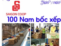 Tuyển gấp Bốc Xếp - LÁI XE - phụ xe hàng SIÊU THỊ Tuyển gấp Bốc Xếp - LÁI XE - phụ xe hàng SIÊU THỊ
