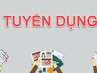 Nhân viên kinh doanh không cần kinh nghiệm Nhân viên kinh doanh không cần kinh nghiệm