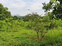 Cần bán gấp 2280m đất thổ cư xã yên bình Cần bán gấp 2280m đất thổ cư xã yên bình