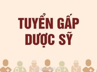 Tuyển gấp 02 trung cấp dược tư vấn các dòng sức khỏe Tuyển gấp 02 trung cấp dược tư vấn các dòng sức khỏe