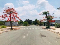 Cần bán lô A12 dự án Đảo Thịnh Vượng, Tam Đa, 58.4m2, SHR.Gía: 2.55 tỷ Cần bán lô A12 dự án Đảo Thịnh Vượng, Tam Đa, 58.4m2, SHR.Gía: 2.55 tỷ