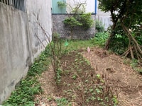 Bán lô đất 54m2 tại Cam Lộ, Hùng Vương giá chỉ 540 triệu Bán lô đất 54m2 tại Cam Lộ, Hùng Vương giá chỉ 540 triệu