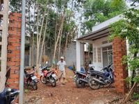 Bán Nhà Vườn đẹp Xuân Lộc - Đồng Nai 281m2 giá 1.1 tỷ Bán Nhà Vườn đẹp Xuân Lộc - Đồng Nai 281m2 giá 1.1 tỷ