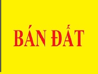 Bán đất Xã Long Hưng, thị xã Gò Công, Tiền Giang, 7x27m Bán đất Xã Long Hưng, thị xã Gò Công, Tiền Giang, 7x27m