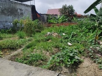 Đất rẻ mà có thể đầu tư, để ở, xây nhà kinh doanh, nhà trọ thì về ngay Đất rẻ mà có thể đầu tư, để ở, xây nhà kinh doanh, nhà trọ thì về ngay