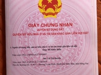 Cần bán 9545m đang kinh doanh trại nuôi heo Cần bán 9545m đang kinh doanh trại nuôi heo