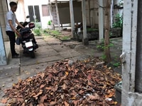Cho thuê biệt thự Trần Đình Xu Quận 1 Cho thuê biệt thự Trần Đình Xu Quận 1