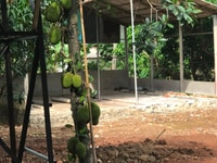 Bán Hoa Viên Nghỉ Dưỡng Ngay Nhà Thờ Xuân Bình Bán Hoa Viên Nghỉ Dưỡng Ngay Nhà Thờ Xuân Bình