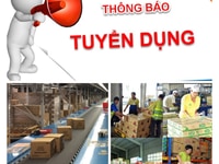 Bình Dương cần 10 tài xế B2 Phụ Xe gấp Bình Dương cần 10 tài xế B2 Phụ Xe gấp