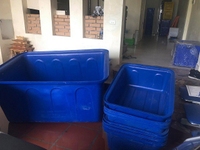 Thùng nhựa 1100L nuôi cá Koi công nghiệp rẻ. Thùng nhựa 1100L nuôi cá Koi công nghiệp rẻ.