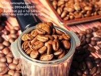 Cà phê hạt nguyên chất tại Đà Nẵng giá bán buôn cho đại lý Cà phê hạt nguyên chất tại Đà Nẵng giá bán buôn cho đại lý