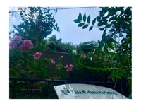 Tuyển gấp Nhân viên phục vụ làm việc tại Quận 1 Tuyển gấp Nhân viên phục vụ làm việc tại Quận 1
