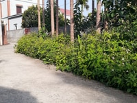 Hùn vốn lấy tiền buôn Tết 59m2 nhỏ xinh tại Dương Quan. Hùn vốn lấy tiền buôn Tết 59m2 nhỏ xinh tại Dương Quan.